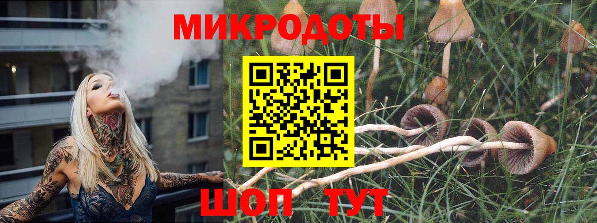 Псилоцибиновые грибы GOLDEN TEACHER Ставрополь