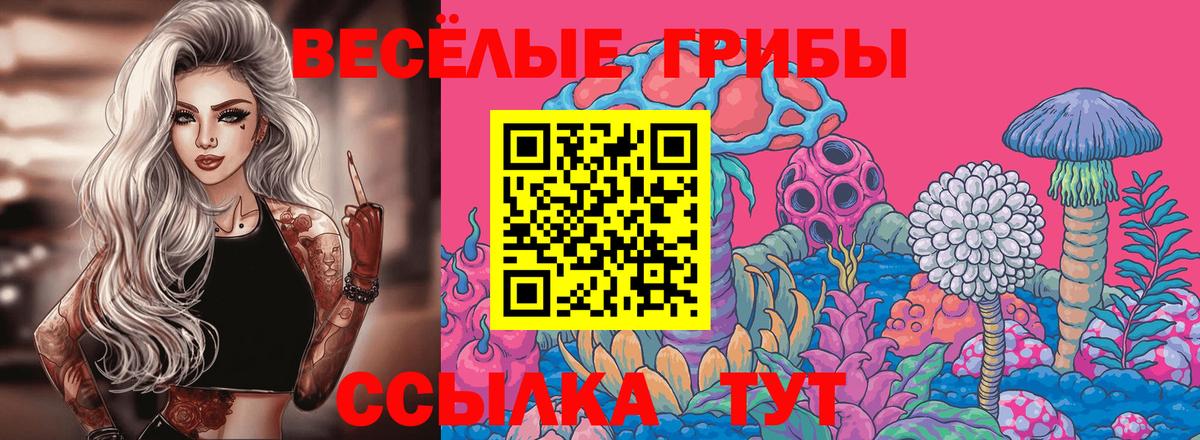 Ставрополь  Галлюциногенные грибы Psilocybe  Вход с VPN  Псилоцибиновые грибы мицелий 
